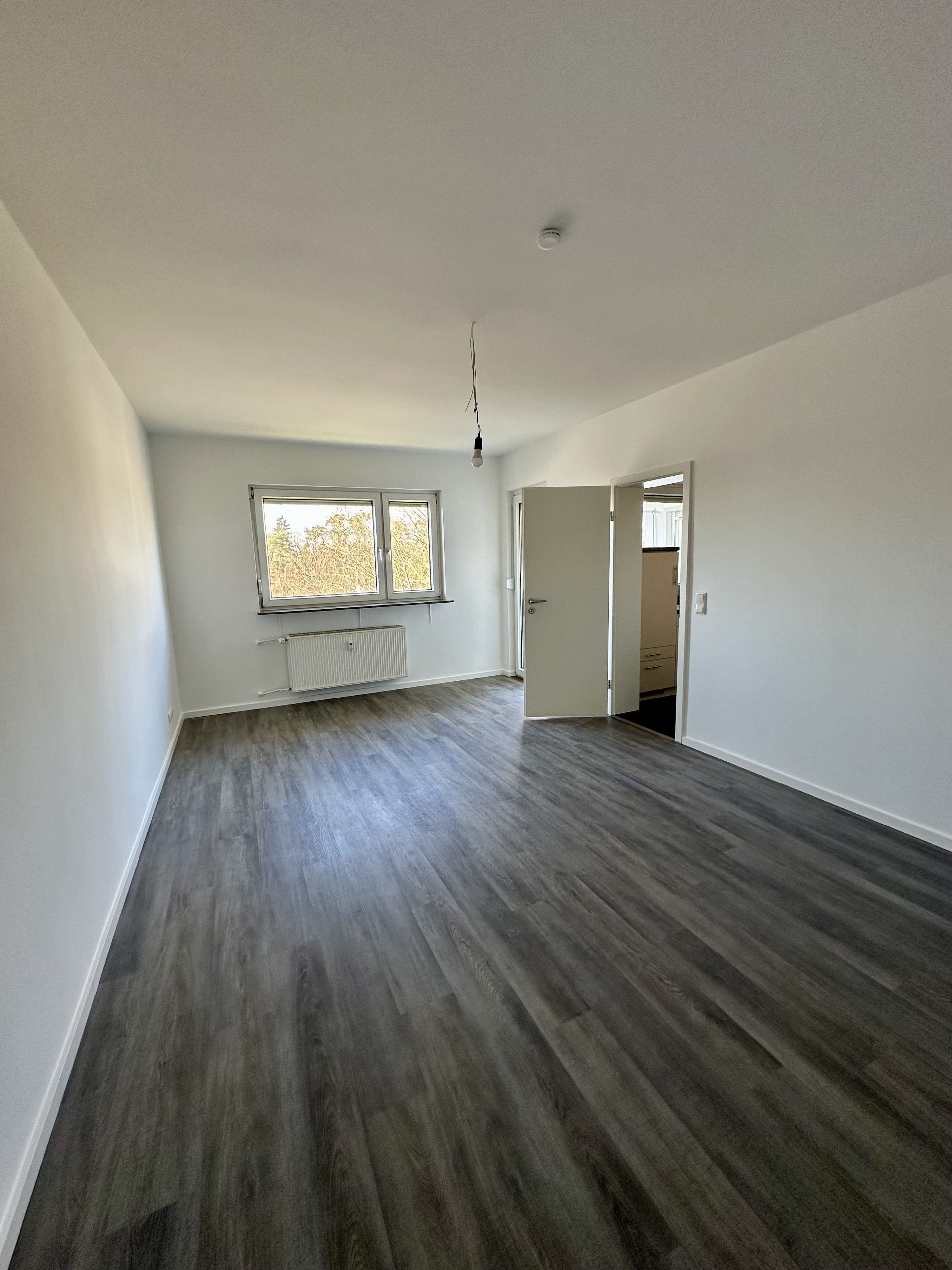 Saniertes leeres Wohnzimmer mit weißen Wänden und dunklem Laminat